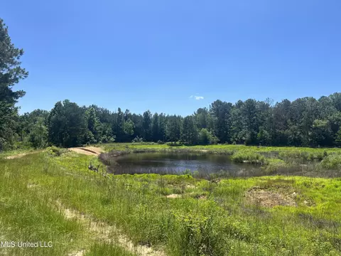Pinola Braxton Rd, Braxton, MS 39044 photo 10