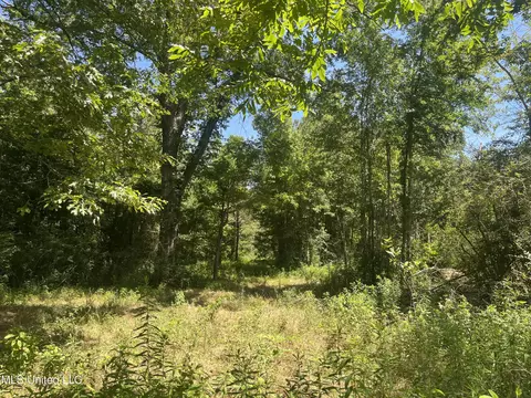 Pinola Braxton Rd, Braxton, MS 39044 photo 8