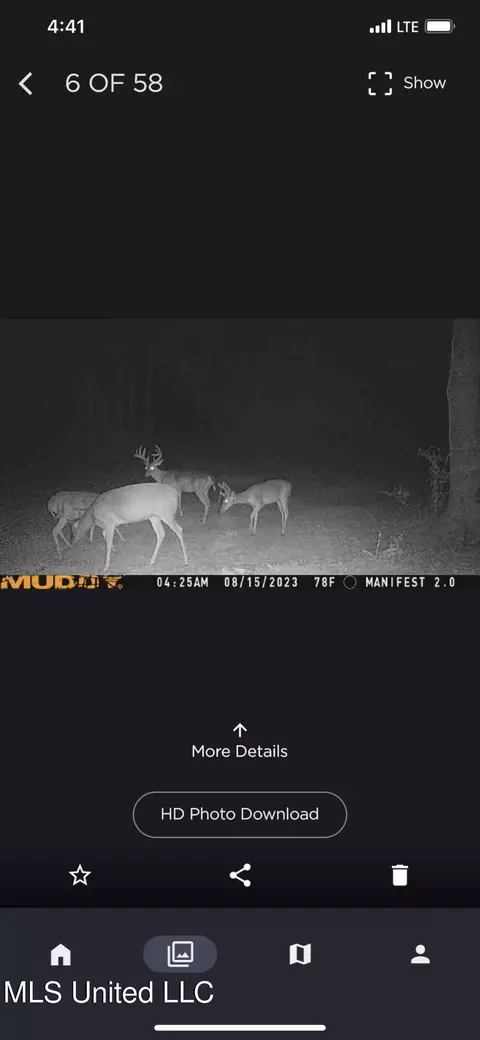 Pinola Braxton Rd, Braxton, MS 39044 photo 19