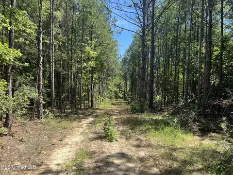 Pinola Braxton Road, Braxton, MS 39044 photo 9