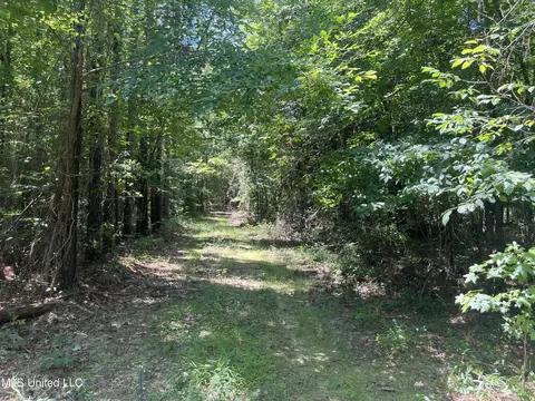 Pinola Braxton Road, Braxton, MS 39044 photo 6
