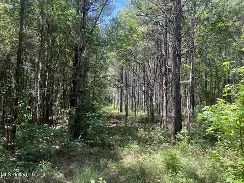 Pinola Braxton Road, Braxton, MS 39044 photo 10