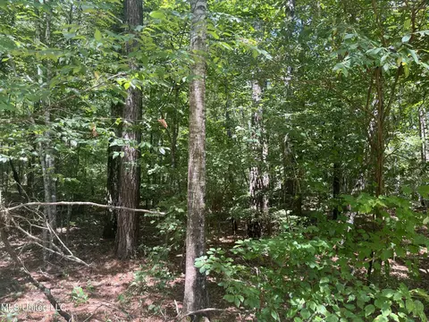 Pinola Braxton Road, Braxton, MS 39044 photo 7