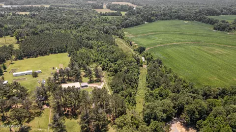 439 Dampeer Rd, Canton, MS 39046 photo 22
