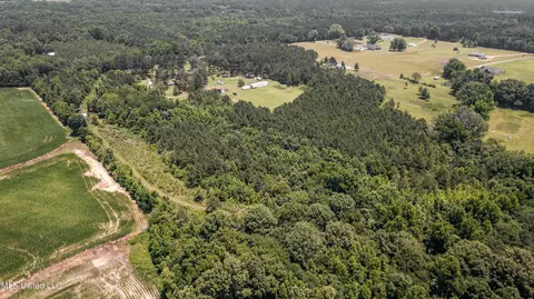 439 Dampeer Rd, Canton, MS 39046 photo 10
