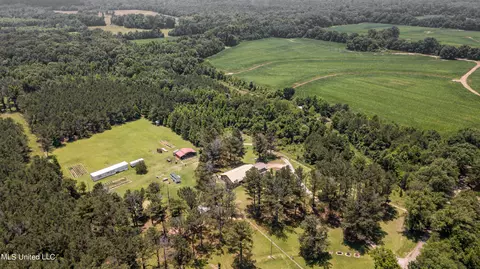 439 Dampeer Rd, Canton, MS 39046 photo 24