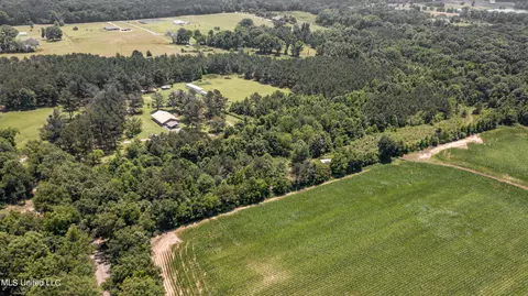 439 Dampeer Rd, Canton, MS 39046 photo 17