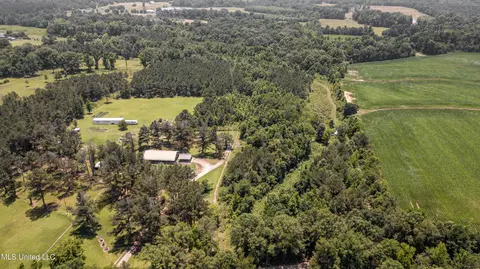 439 Dampeer Rd, Canton, MS 39046 photo 26