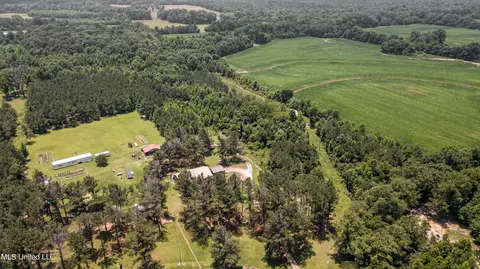 439 Dampeer Rd, Canton, MS 39046 photo 23