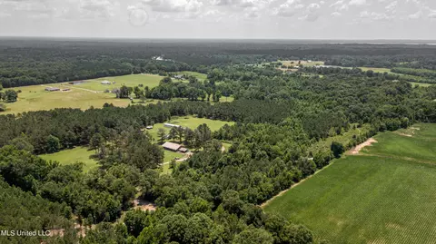 439 Dampeer Rd, Canton, MS 39046 photo 28