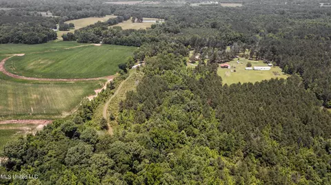 439 Dampeer Rd, Canton, MS 39046 photo 2