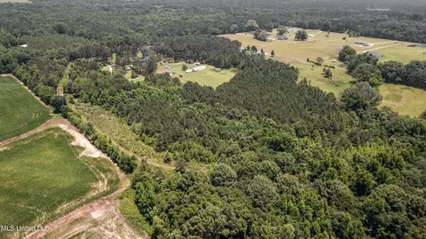 439 Dampeer Rd, Canton, MS 39046 photo 11