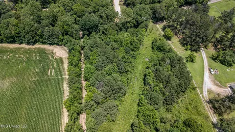 439 Dampeer Rd, Canton, MS 39046