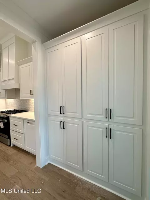 Other - 801 Glenwild Cir, Canton, MS 39046 photo 3 of 5