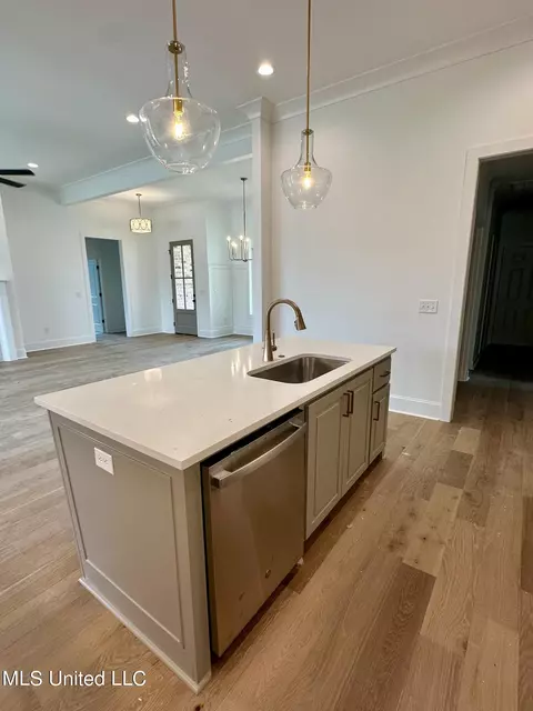Kitchen - 801 Glenwild Cir, Canton, MS 39046 photo 5 of 6
