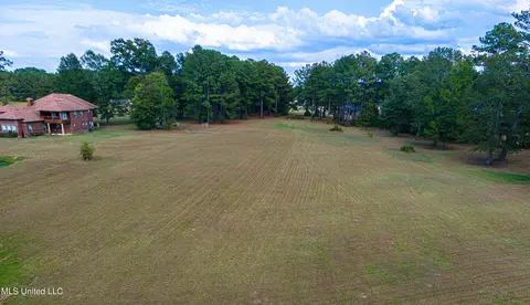 Levon Owens Drive, Terry, MS 39170 photo 4