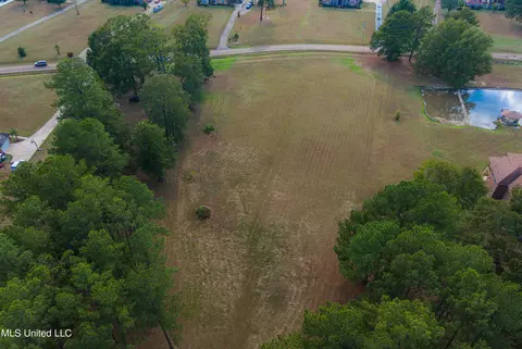 Levon Owens Drive, Terry, MS 39170 photo 2
