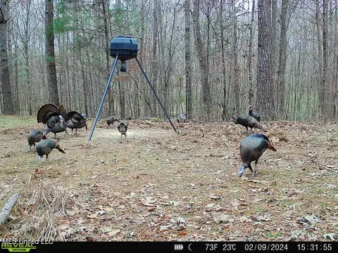 1953 Joe Hall Rd, Flora, MS 39071