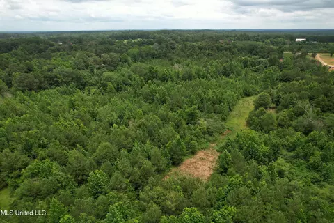 11 Mississippi 35, Pulaski, MS 39152