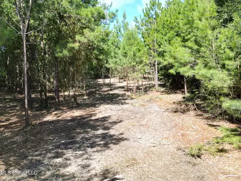6065 Forrest H Necaise Rd Lot #3, Kiln, MS 39556
