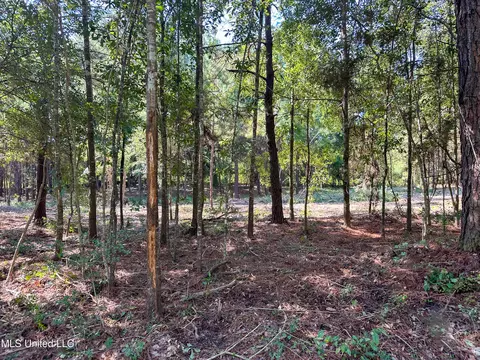 6075 Forrest H Necaise Rd #LOT 4, Kiln, MS 39556
