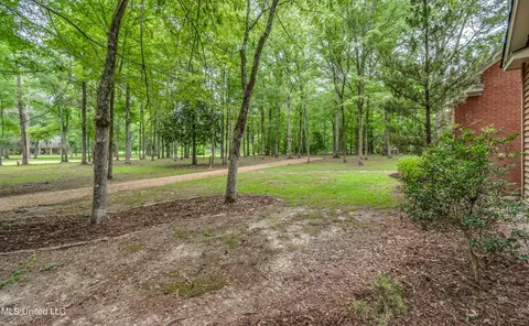 723 S Springlake Cir, Terry, MS 39170 photo 54