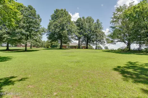 Exterior - 5035 S Rolling Pine Cir, Olive Branch, MS 38654 photo 8 of 11