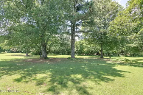 Exterior - 5035 S Rolling Pine Cir, Olive Branch, MS 38654 photo 11 of 11