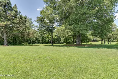 Exterior - 5035 S Rolling Pine Cir, Olive Branch, MS 38654 photo 9 of 11