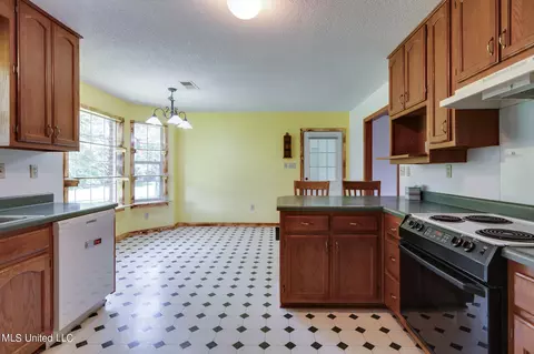 Kitchen - 5035 S Rolling Pine Cir, Olive Branch, MS 38654 photo 6 of 7