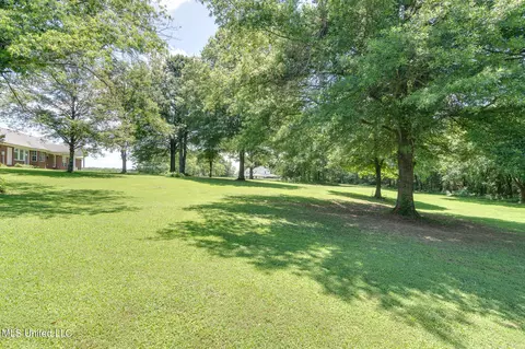 Exterior - 5035 S Rolling Pine Cir, Olive Branch, MS 38654 photo 6 of 11
