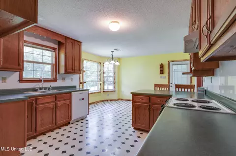 Kitchen - 5035 S Rolling Pine Cir, Olive Branch, MS 38654 photo 7 of 7