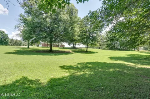 Exterior - 5035 S Rolling Pine Cir, Olive Branch, MS 38654 photo 7 of 11