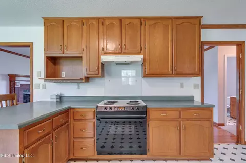 Kitchen - 5035 S Rolling Pine Cir, Olive Branch, MS 38654 photo 5 of 7