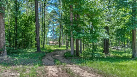 1225 E Flowers Road Rd, Terry, MS 39170 photo 7