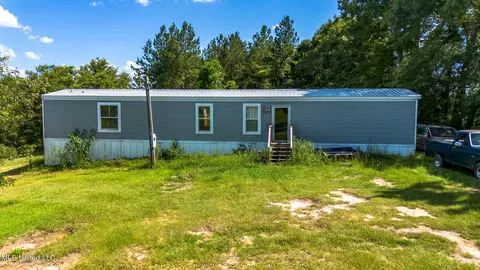 56 Red Hill Church Rd, Lumberton, MS 39455