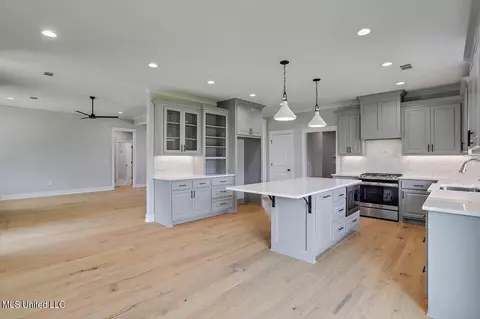 Kitchen - 102 Katherine Ct, Madison, MS 39110 photo 5 of 5