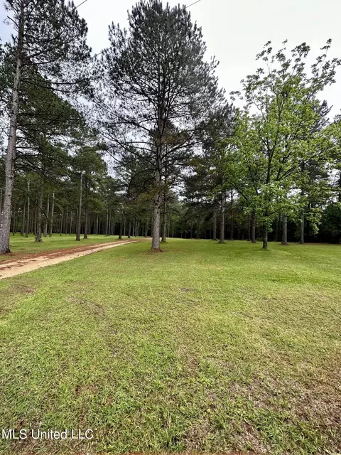 Other - 152 Brooksberg Dr, Magee, MS 39111 photo 3 of 10