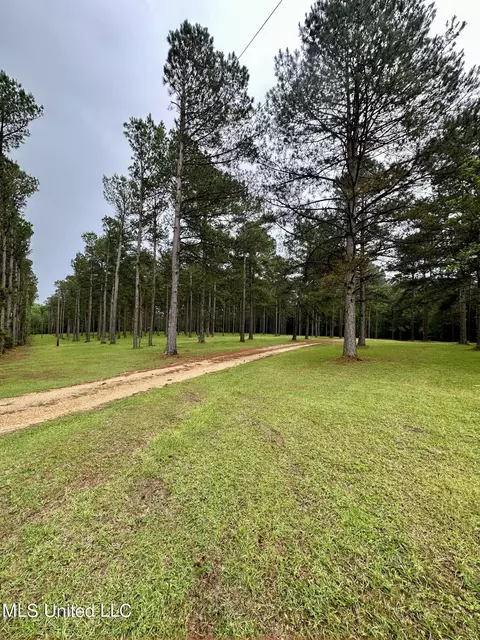 Other - 152 Brooksberg Dr, Magee, MS 39111 photo 2 of 10