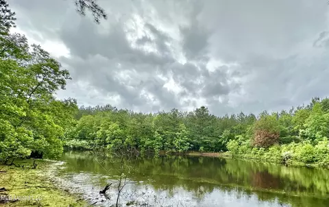View/Area - 152 Brooksberg Dr, Magee, MS 39111 photo 2 of 2