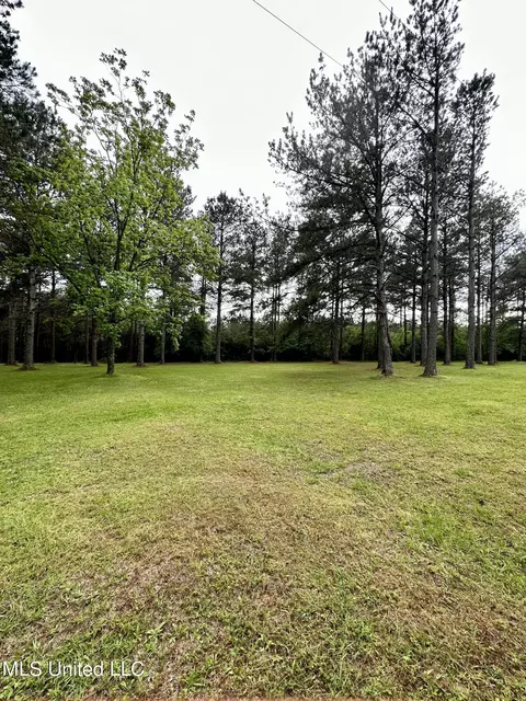 Exterior - 152 Brooksberg Dr, Magee, MS 39111 photo 7 of 26