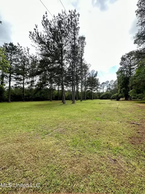 Other - 152 Brooksberg Dr, Magee, MS 39111 photo 4 of 10