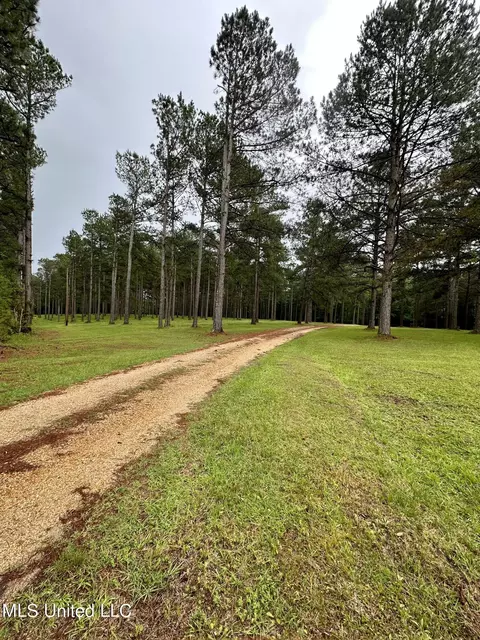 Other - 152 Brooksberg Dr, Magee, MS 39111 photo 1 of 10