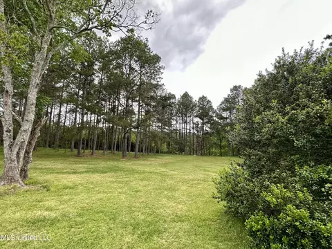 Exterior - 152 Brooksberg Dr, Magee, MS 39111 photo 12 of 26