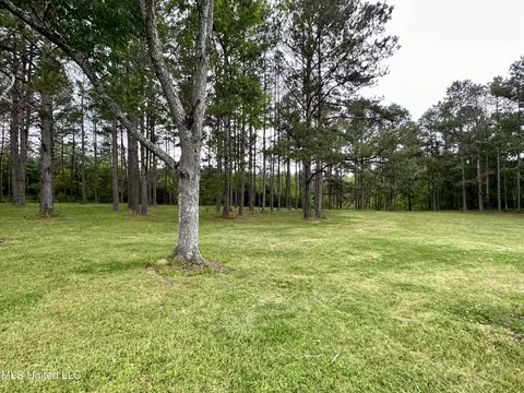 Exterior - 152 Brooksberg Dr, Magee, MS 39111 photo 11 of 26