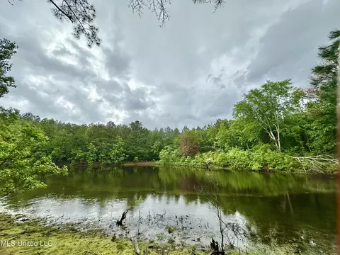 View/Area - 152 Brooksberg Dr, Magee, MS 39111 photo 1 of 2