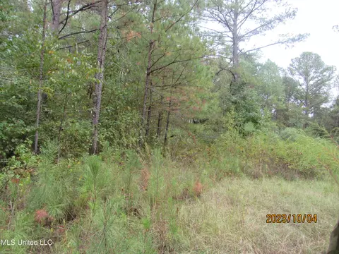 1364 Flower Rd, Vaughan, MS 39179