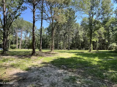 Preacher Powell Road Road, Carriere, MS 39426