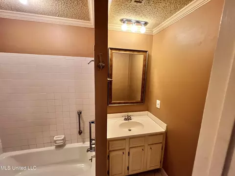 Bath - 1255 E County Line Rd #L-3, Jackson, MS 39211 photo 4 of 5