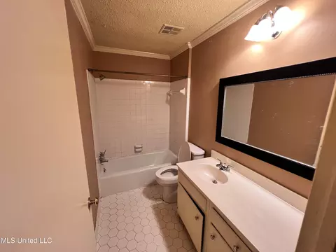 Bath - 1255 E County Line Rd #L-3, Jackson, MS 39211 photo 5 of 5
